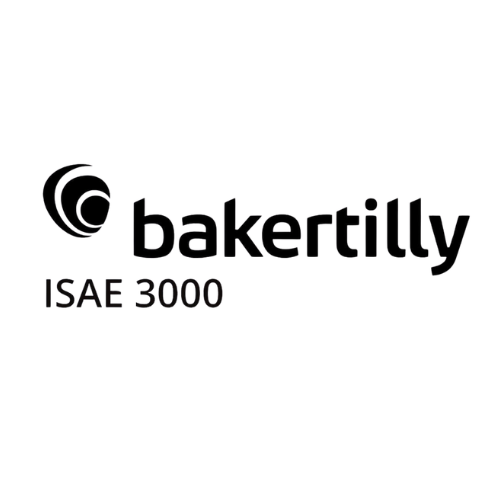 isae 3000